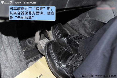 4 副本.jpg