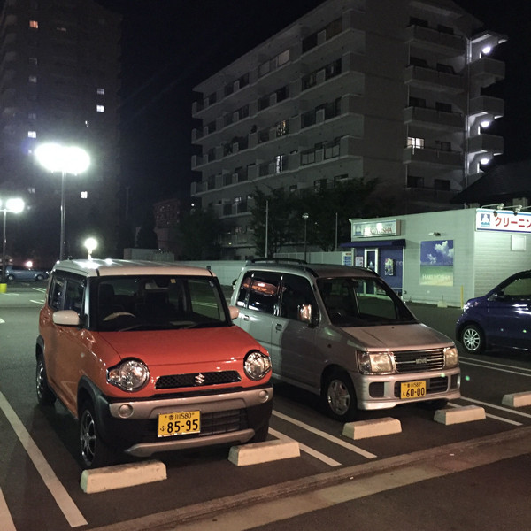日本人买什么车