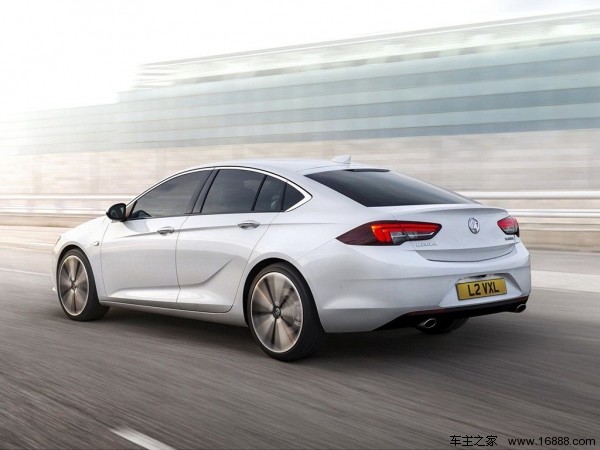 01_insignia3.jpg