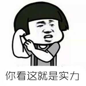 凯美瑞双擎