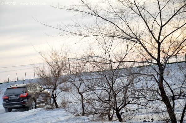 DSC_8500.jpg