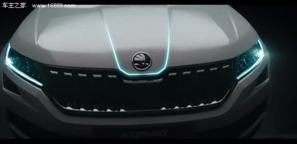 854562.jpg