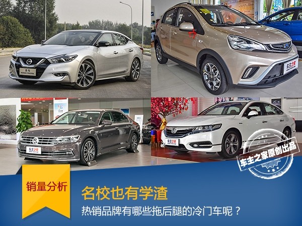 单车试驾.jpg
