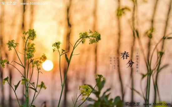 春分节是啥时候 2018031902301941595_550.png
