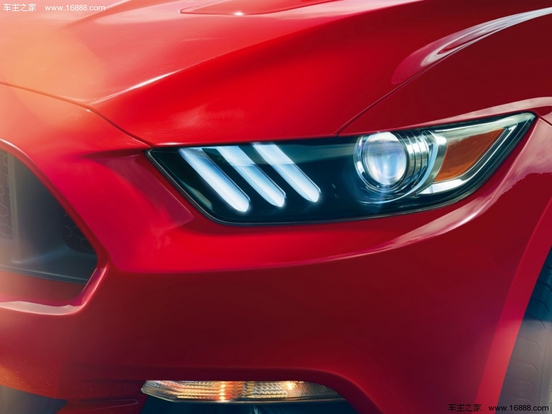 Mustang