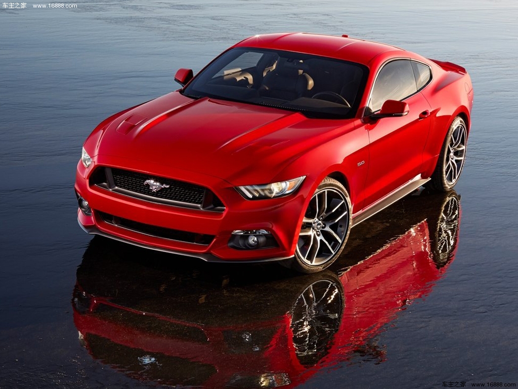 Mustang