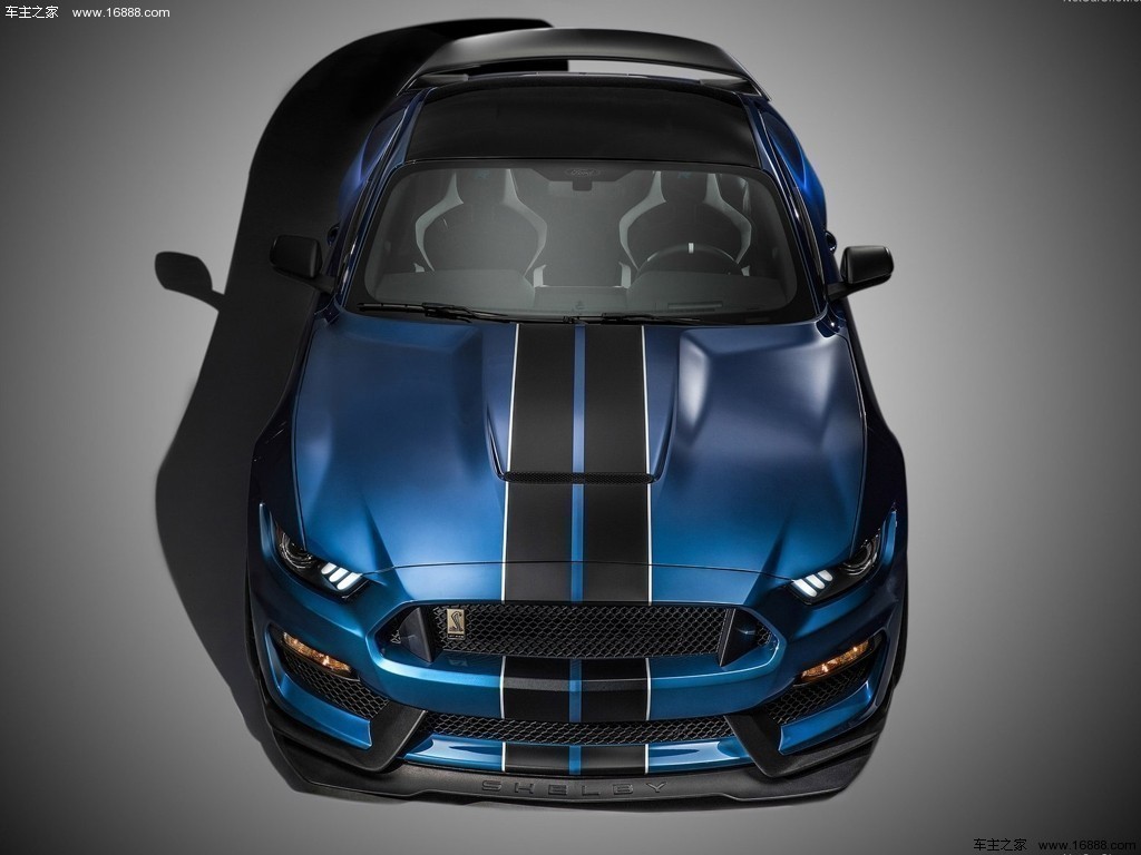 Mustang2016款 Shelby GT350R