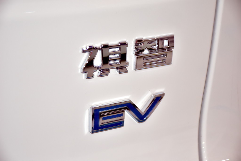 祺智EV2019款 EV530 锋行版