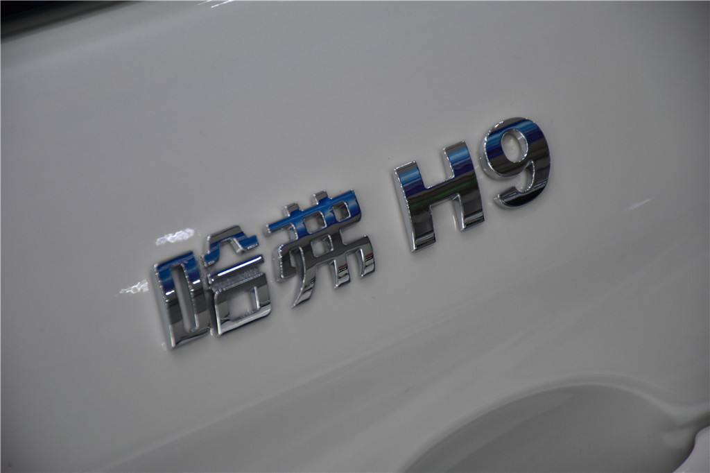哈弗H9 2020款 2.0T 汽油四驱豪华型 7座