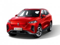 欧拉樱桃猫图片