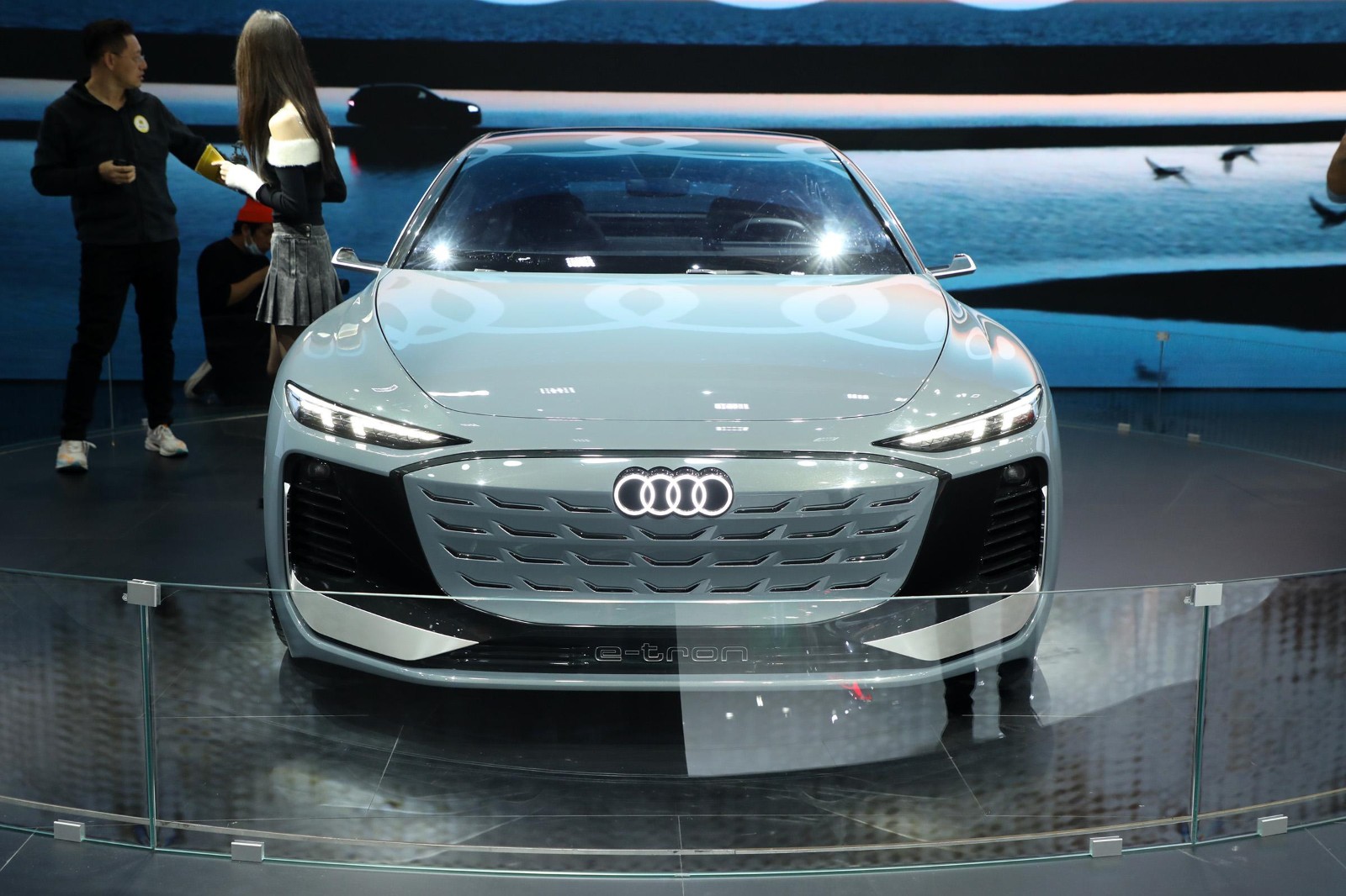 奥迪A6新能源(进口)2023款