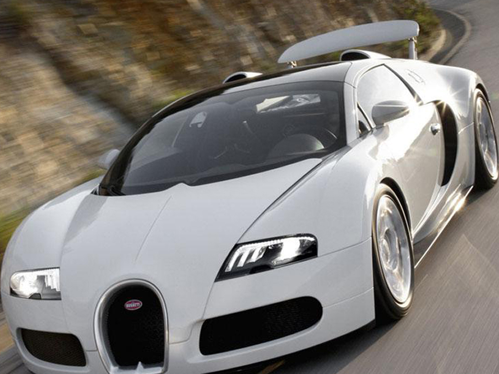 汽车图库 布加迪 布加迪 威航(56/213) 外观 白色威航车前左侧 参考