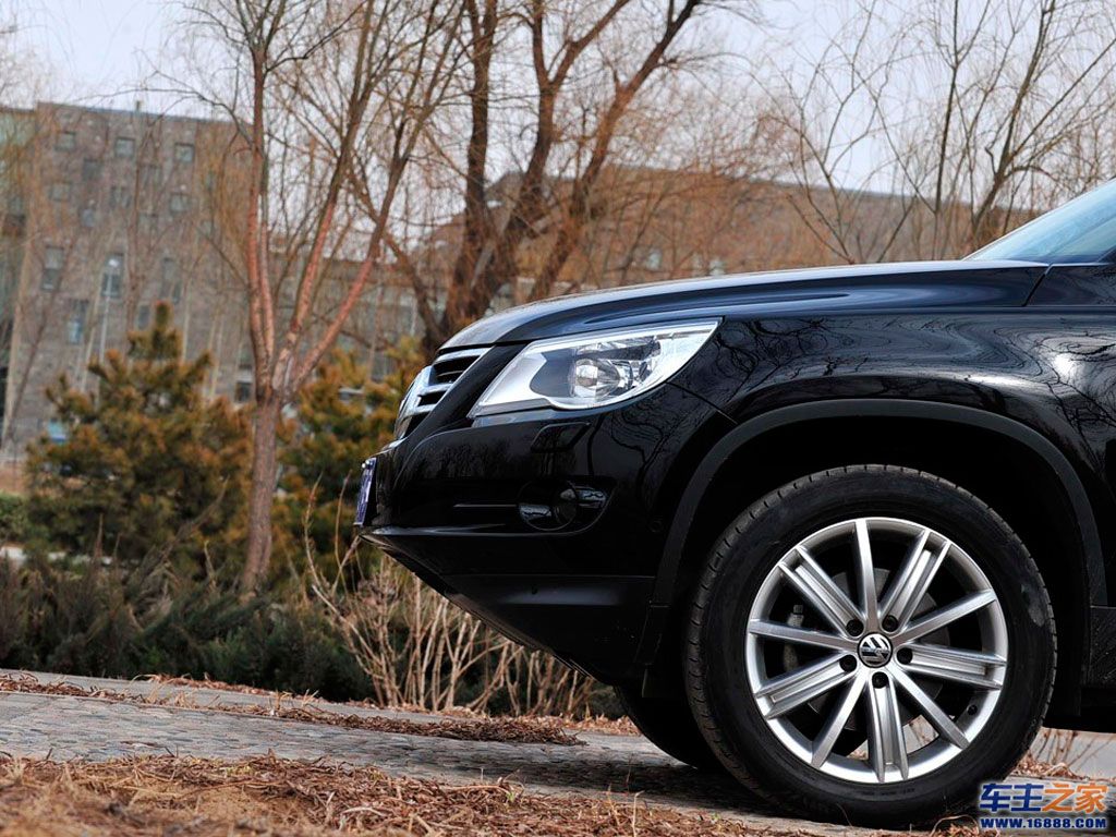 Tiguan进口Tiguan