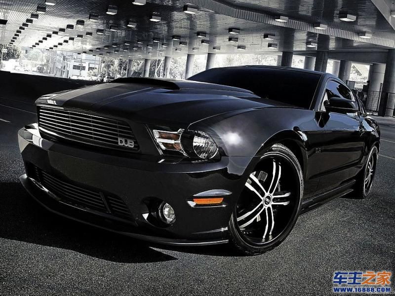 Mustang野马