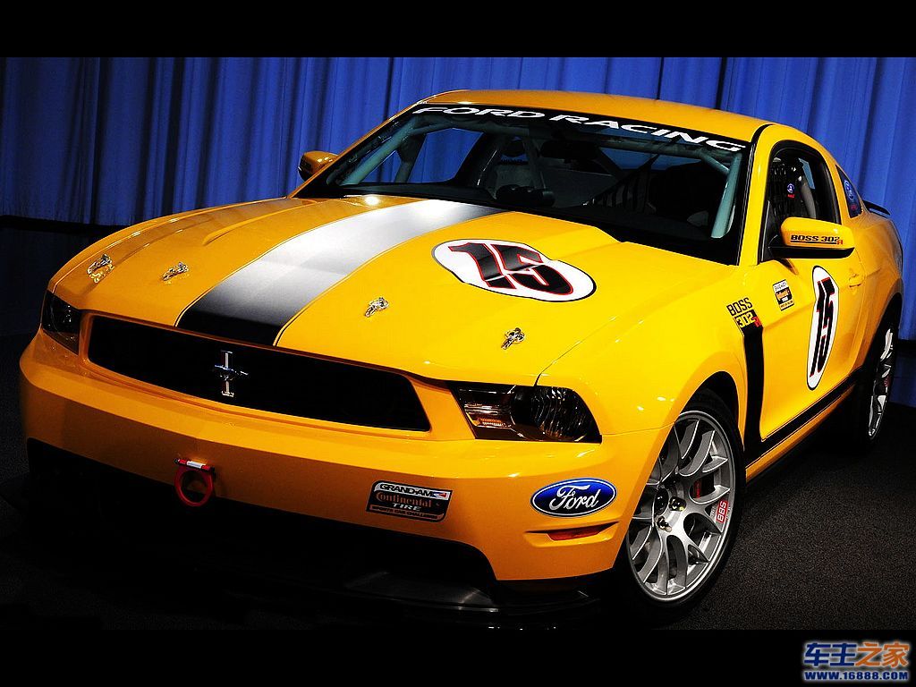 Mustang 野马