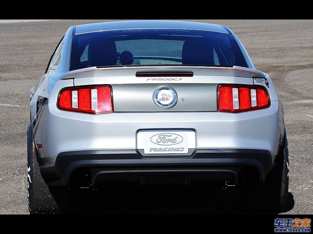 Mustang 野马
