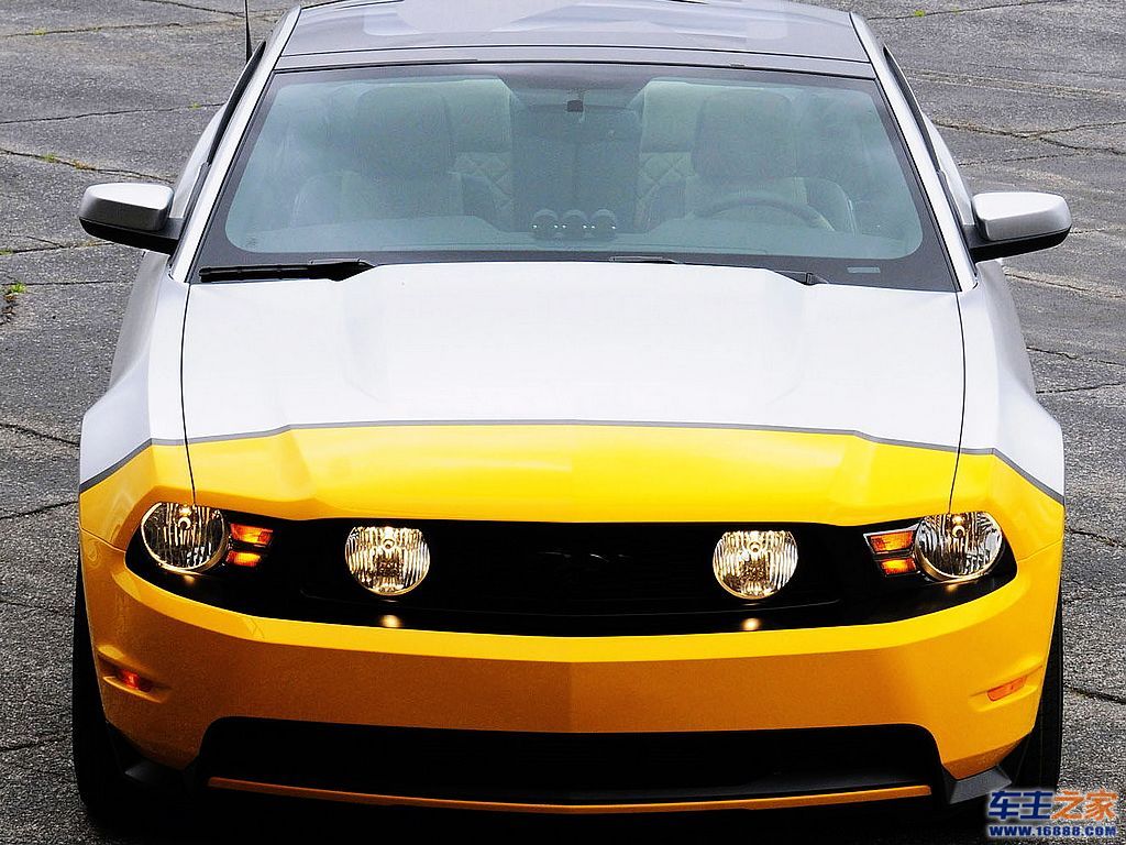 Mustang 野马