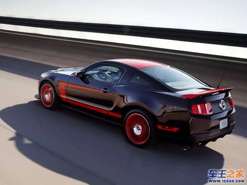 Mustang 野马