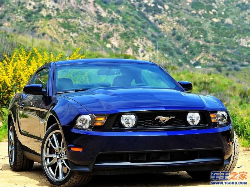 Mustang 野马