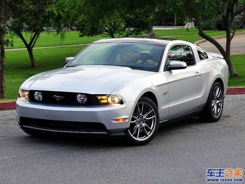 Mustang 野马
