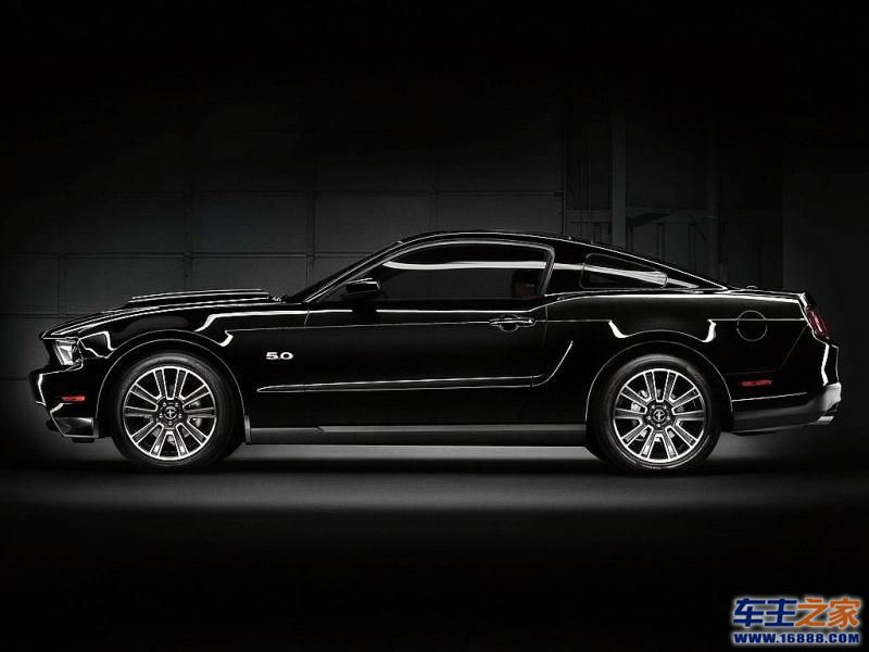 Mustang 野马