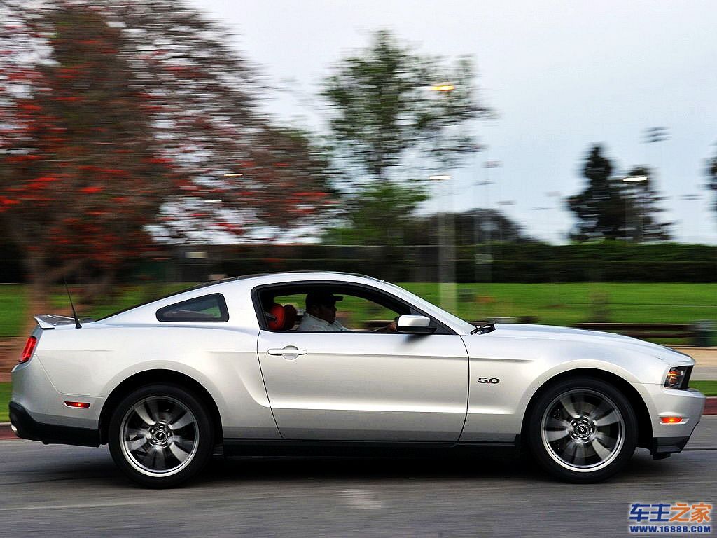 Mustang 野马