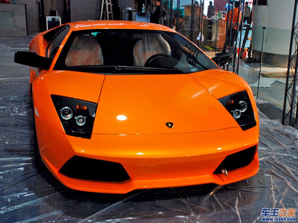 murcielago橙色 murcielago