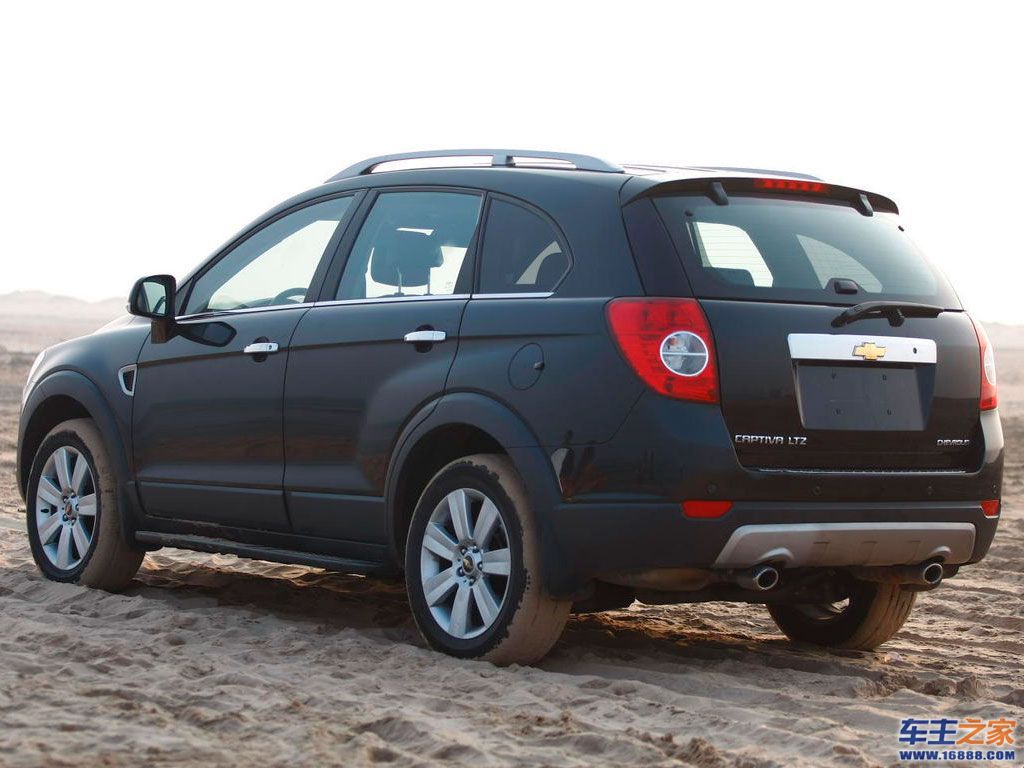 科帕奇(进口) 科帕奇