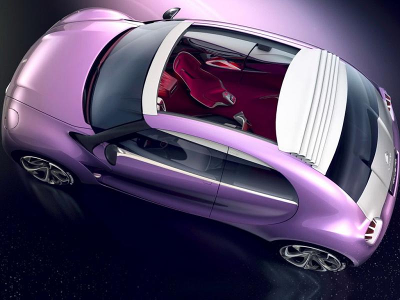 紫色雪铁龙REVOLTe俯视车身内部
