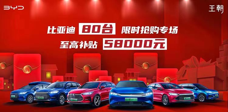 [深圳市]比亚迪 80台限时抢购专场-至高补贴58000元