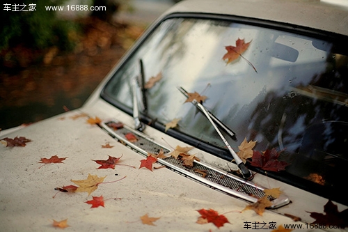 Check the season to teach you the common sense of car maintenance in autumn