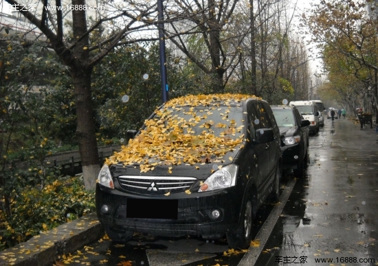 En invierno, preste atención a la eliminación oportuna de las hojas caídas en el vehículo de mantenimiento del vehículo.