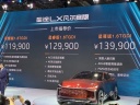 星途LX凡尔赛版正式上市 售价11.99-13.99万