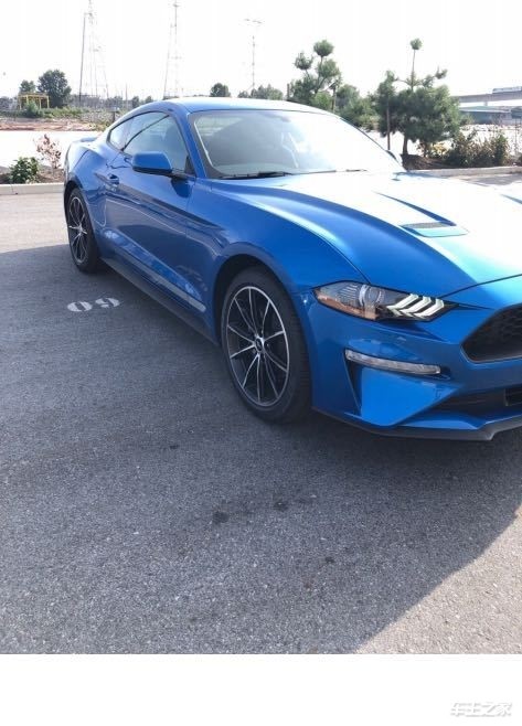 平行进口福特野马年轻人的小跑车你爱了吗